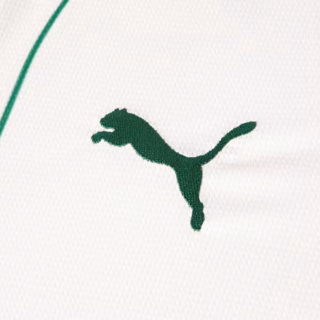 Camisola Palmeiras AWAY 2026 Torcedor Masculina - imagem 5