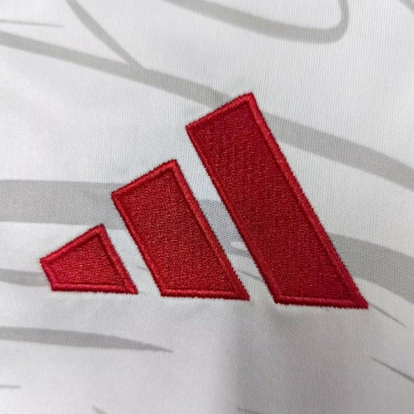 Camisola Benfica – Edição Especial 2025/26 - imagem 4