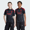 Conjunto Infantil Benfica Alternativa - 2024/25