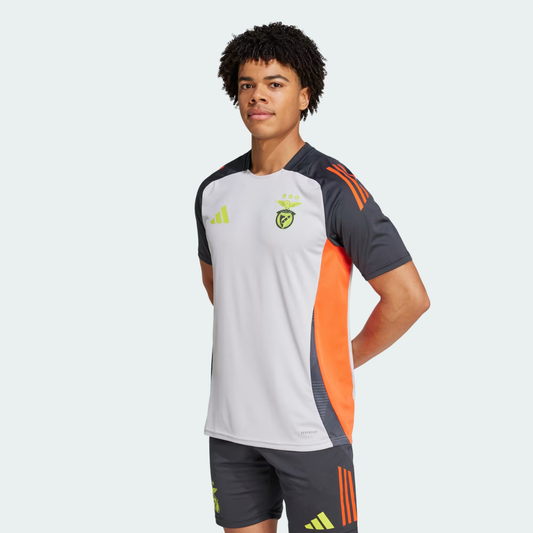 Camisola Benfica Treino Cinza - 2024/25 - imagem 1