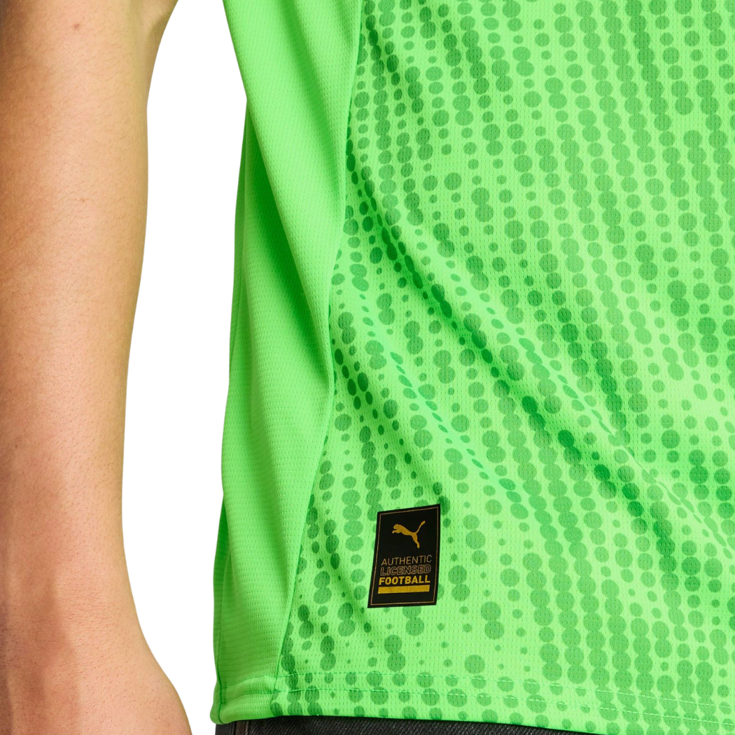 Camisola Portugal Guarda Redes Verde - 2025 - imagem 5