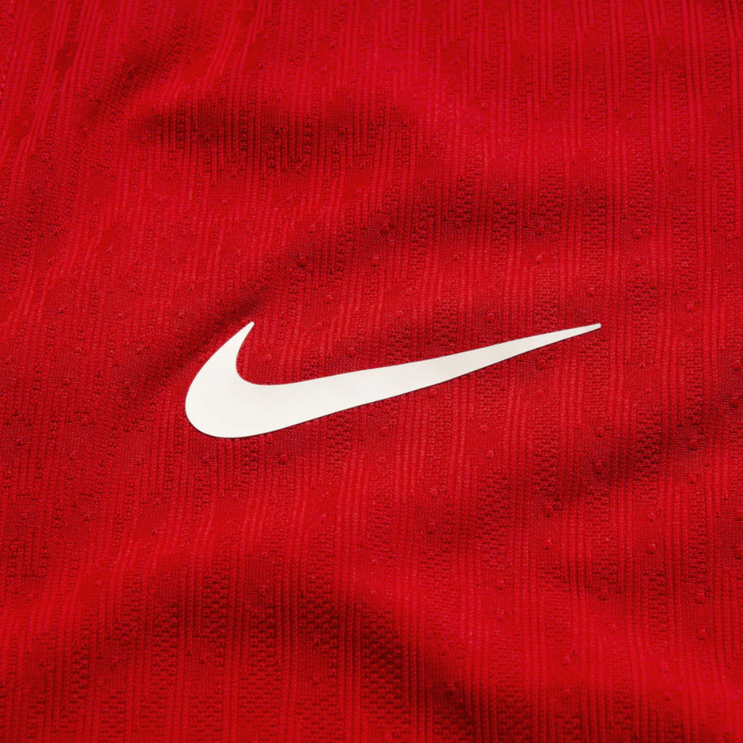 Camisola Portugal Manga Longa Principal 2024/25 - imagem 6