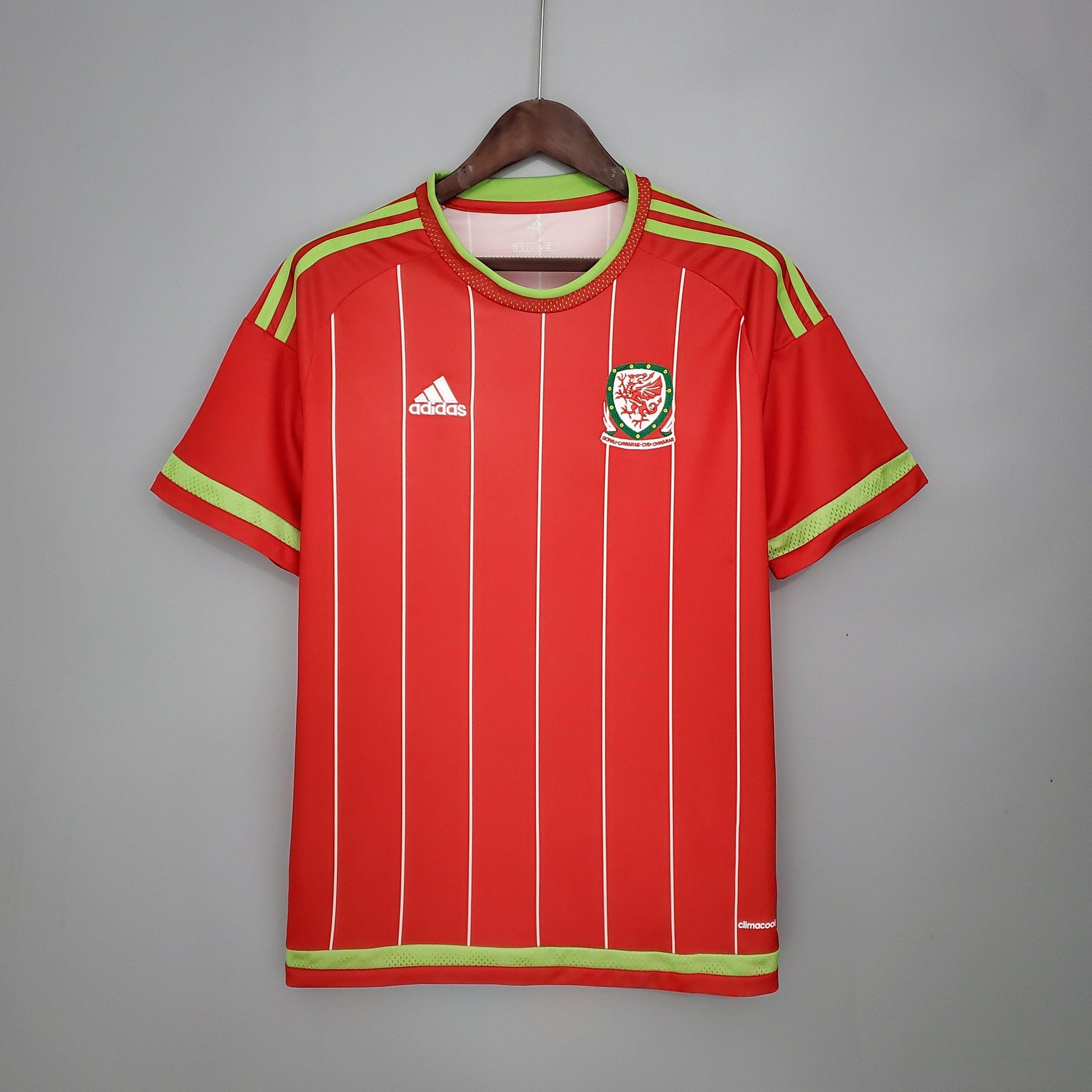 PAÍS DE GALES I 2015 HOMBRE (RETRO) - imagem 1