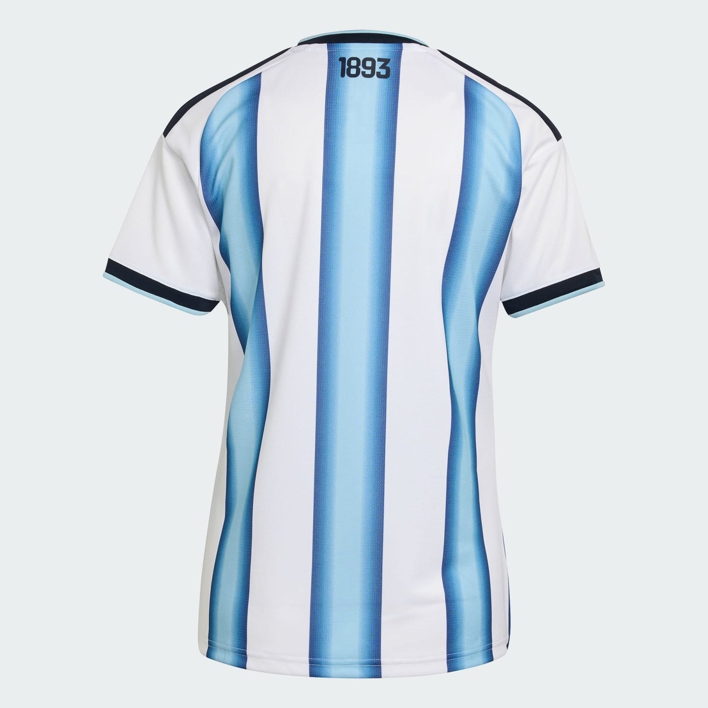 Camisola Feminina Argentina 2026/27 - Copa do Mundo - imagem 4