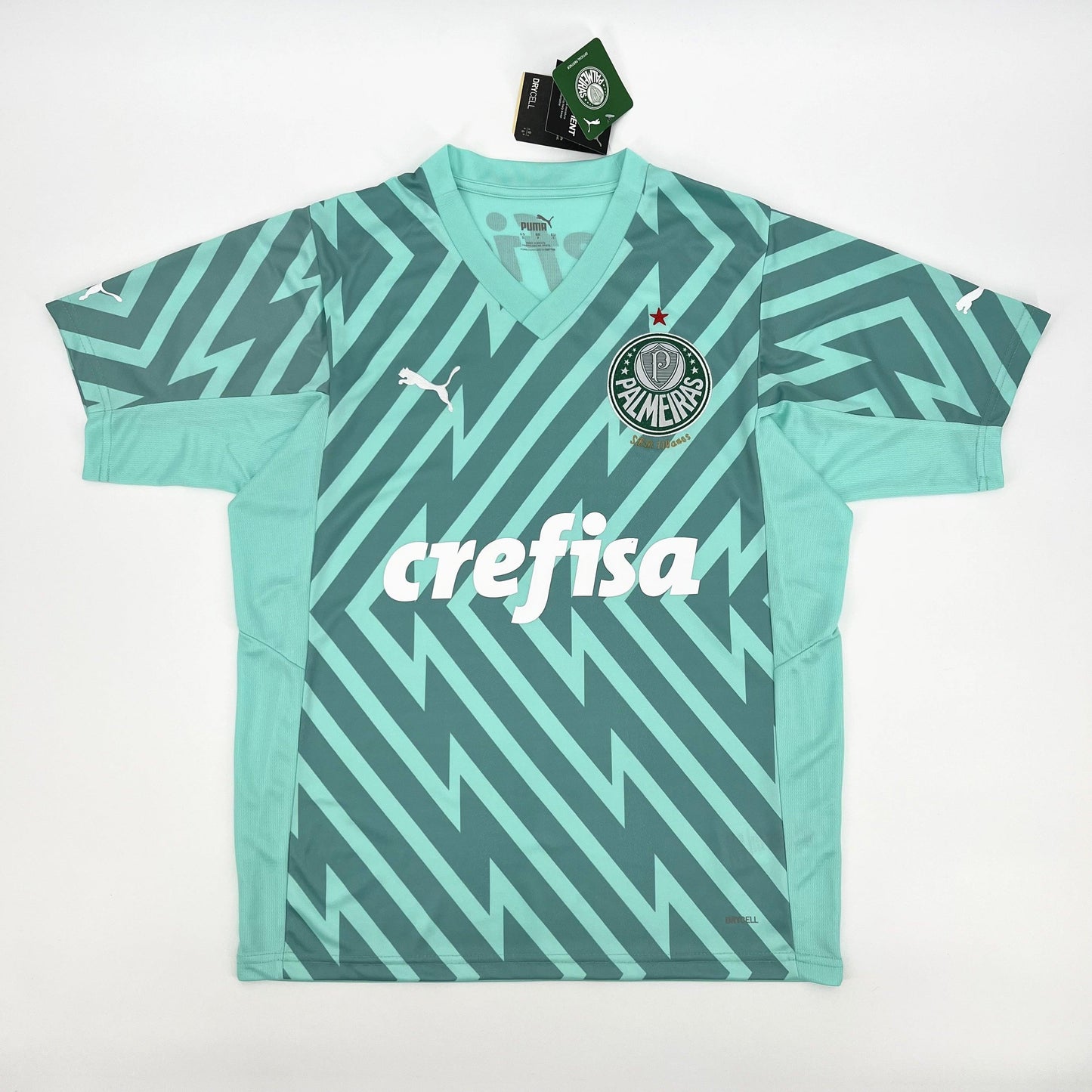PALMEIRAS PORTERO III 24/25 HOMBRE - imagem 1