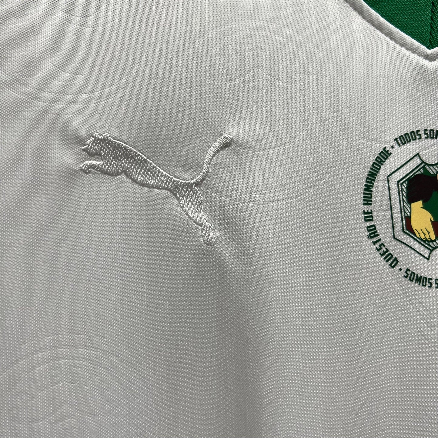 PALMEIRAS EDICIÓN LIMITADA BLANCA 24/25 HOMBRE - imagem 4