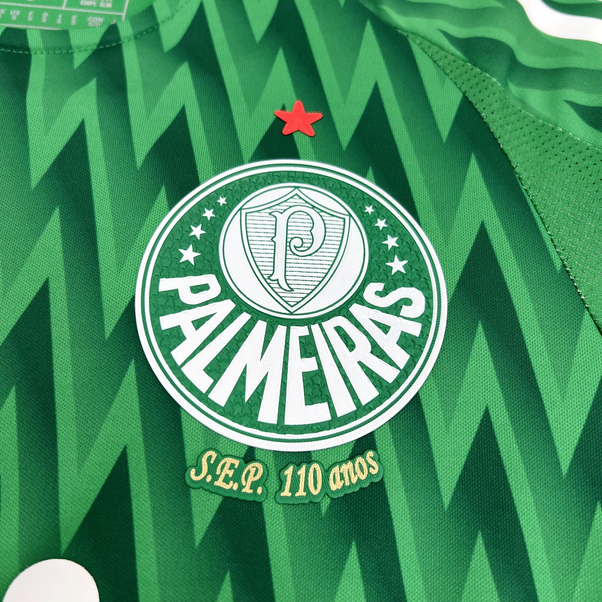 PALMEIRAS EDICIÓN ESPECIAL I 24/25 HOMBRE - imagem 2
