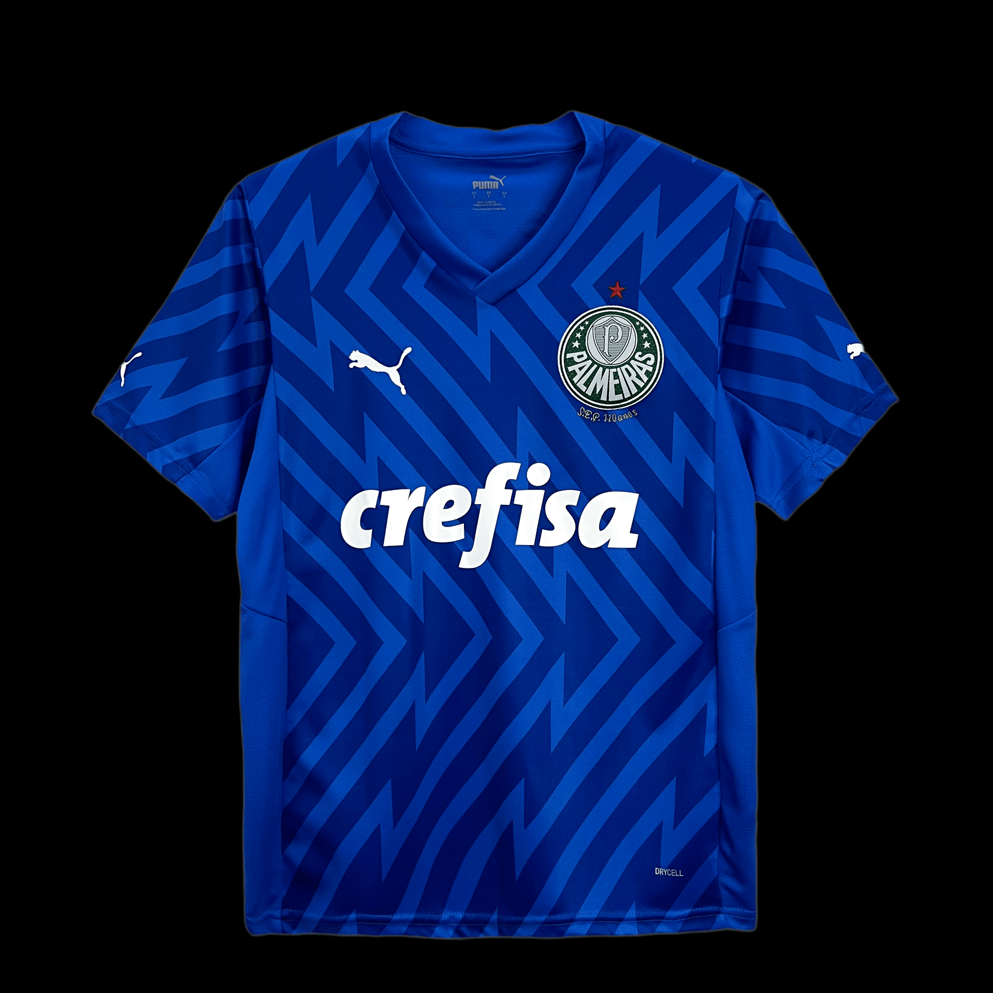 PALMEIRAS PORTERO I 24/25 HOMBRE - imagem 1