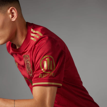 Camisola Bayern de Munique Edição Especial 125 Anos 2025/26