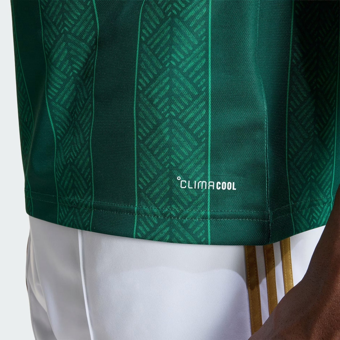 Camisola África do Sul I 2026/27 Torcedor - Copa do Mundo 2026 - imagem 3
