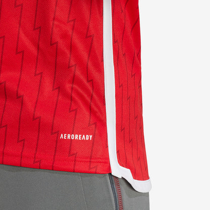 Camisola Arsenal Principal 2023/24